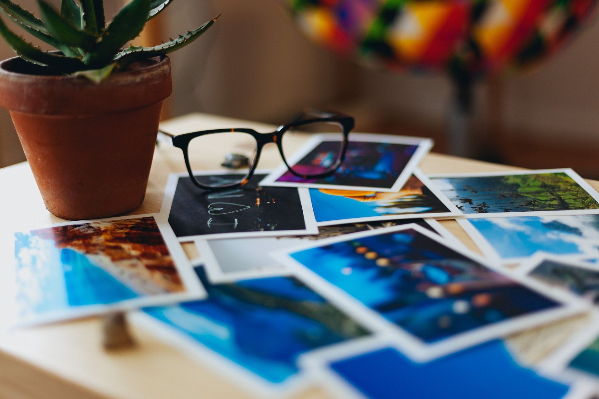 Eyeglasses and a potted succulent rest among scattered photographs
