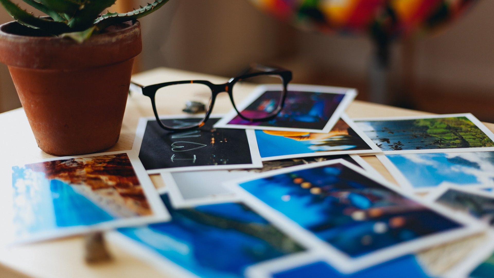 Eyeglasses and a potted succulent rest among scattered photographs