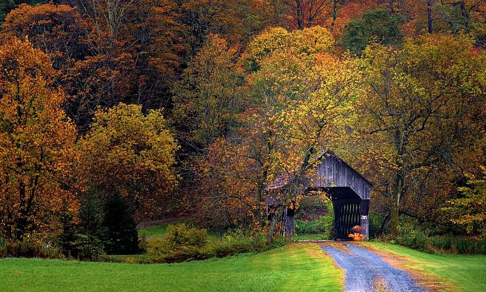Covered wooden bridge along a gravel road amid autumn trees