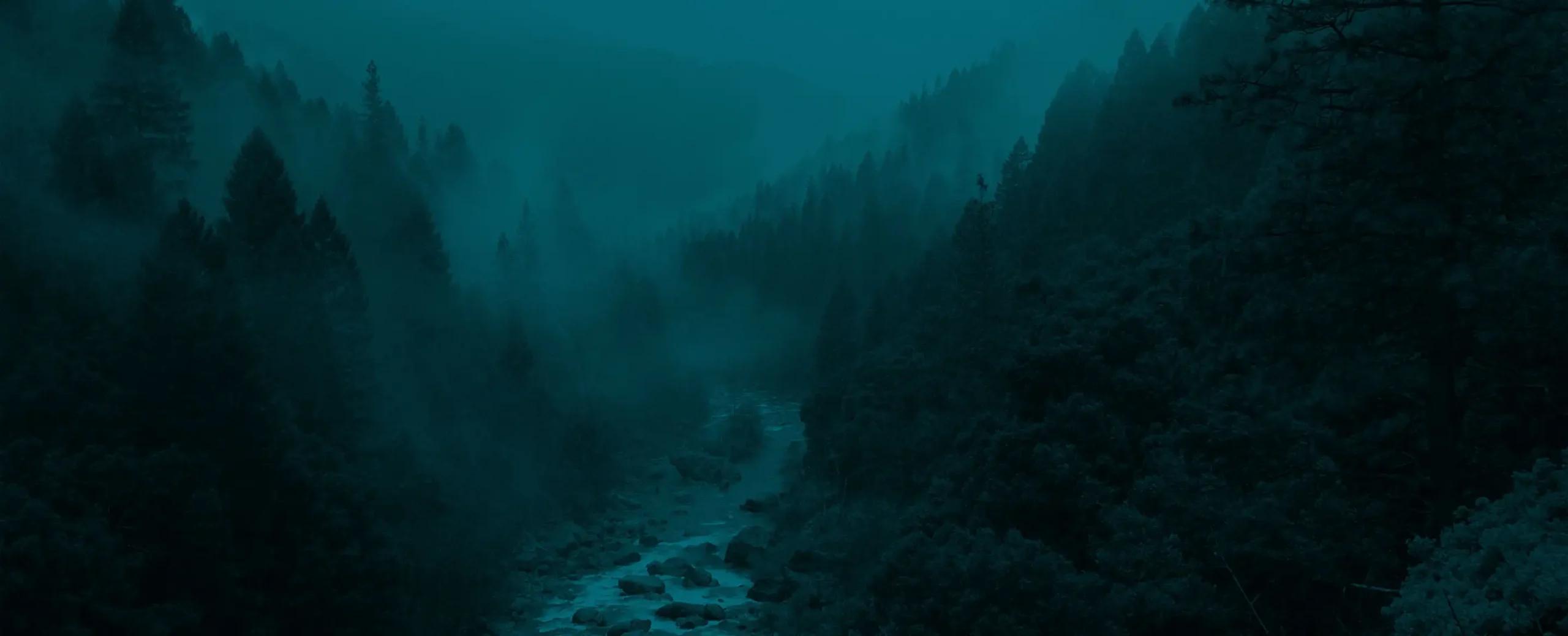 Misty evergreen forest surrounding a rocky river valley