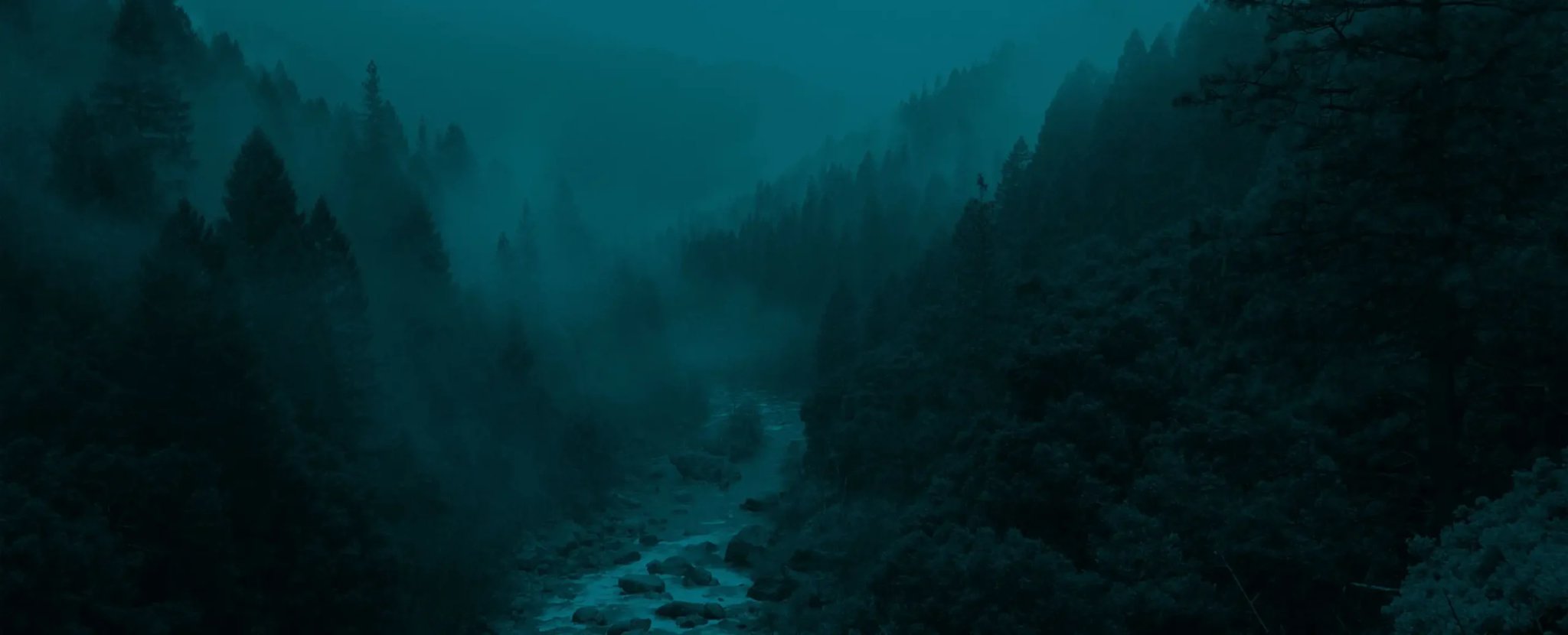 Misty evergreen forest surrounding a rocky river valley