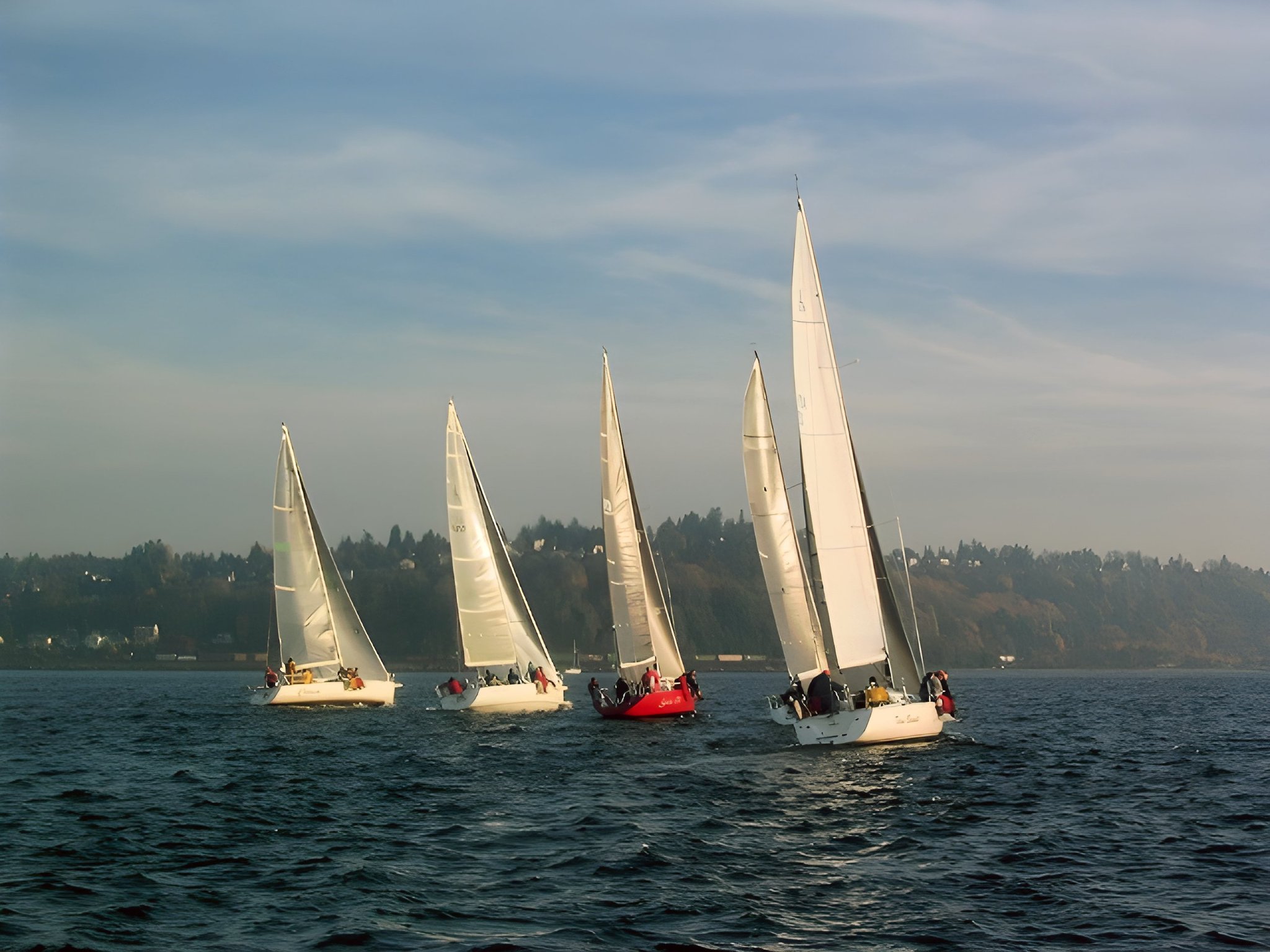 Five sailboats race across open water near a wooded shoreline