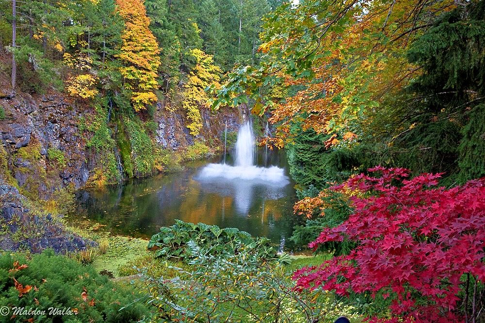 Waterfall flows into a pond surrounded by autumn foliage