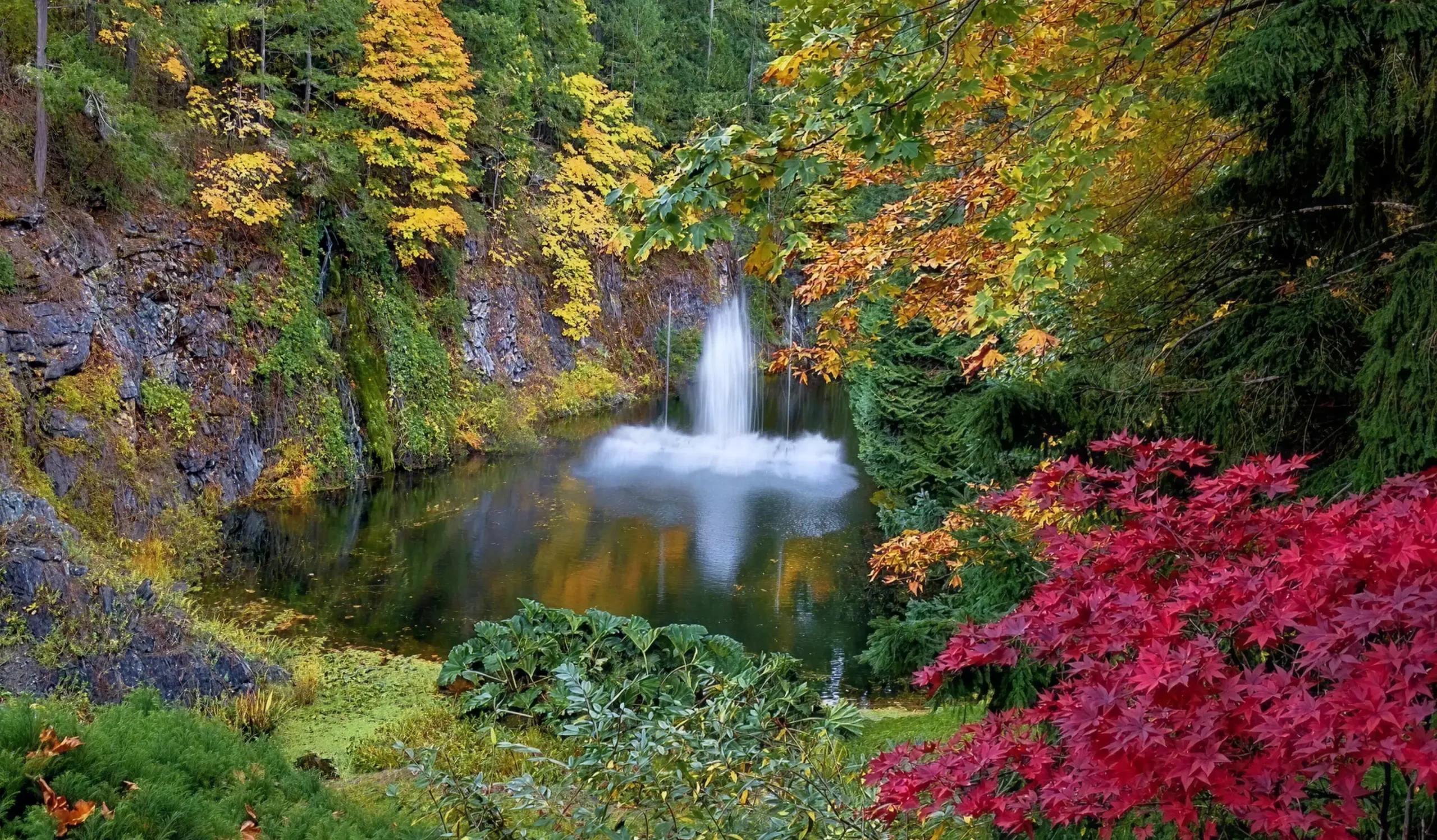 Waterfall flows into a pond surrounded by autumn foliage