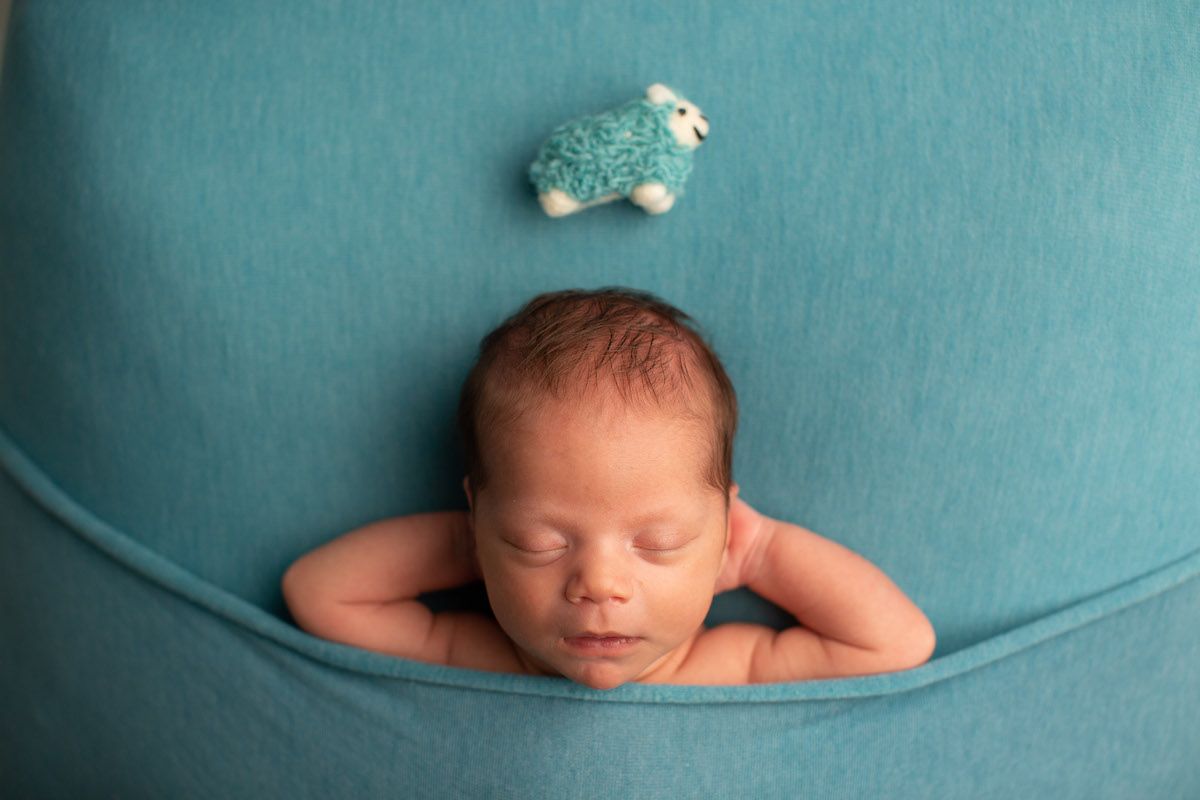 Newborn sleeps with hands behind head beneath a toy sheep