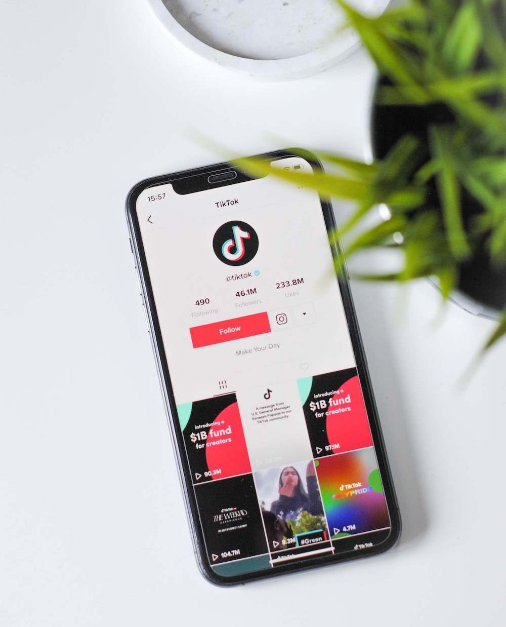 Smartphone displays TikTok profile beside a potted plant