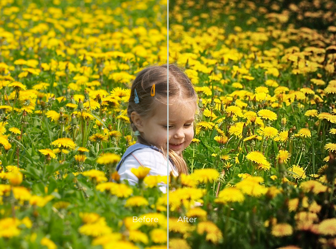 Before-and-after comparison of a girl in a dandelion field