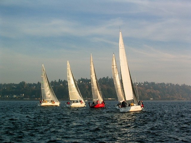Five sailboats race across open water near a wooded shoreline