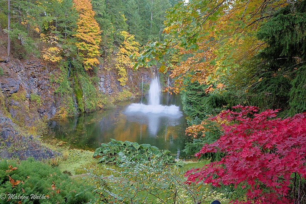 Fountain sprays in a pond surrounded by autumn trees