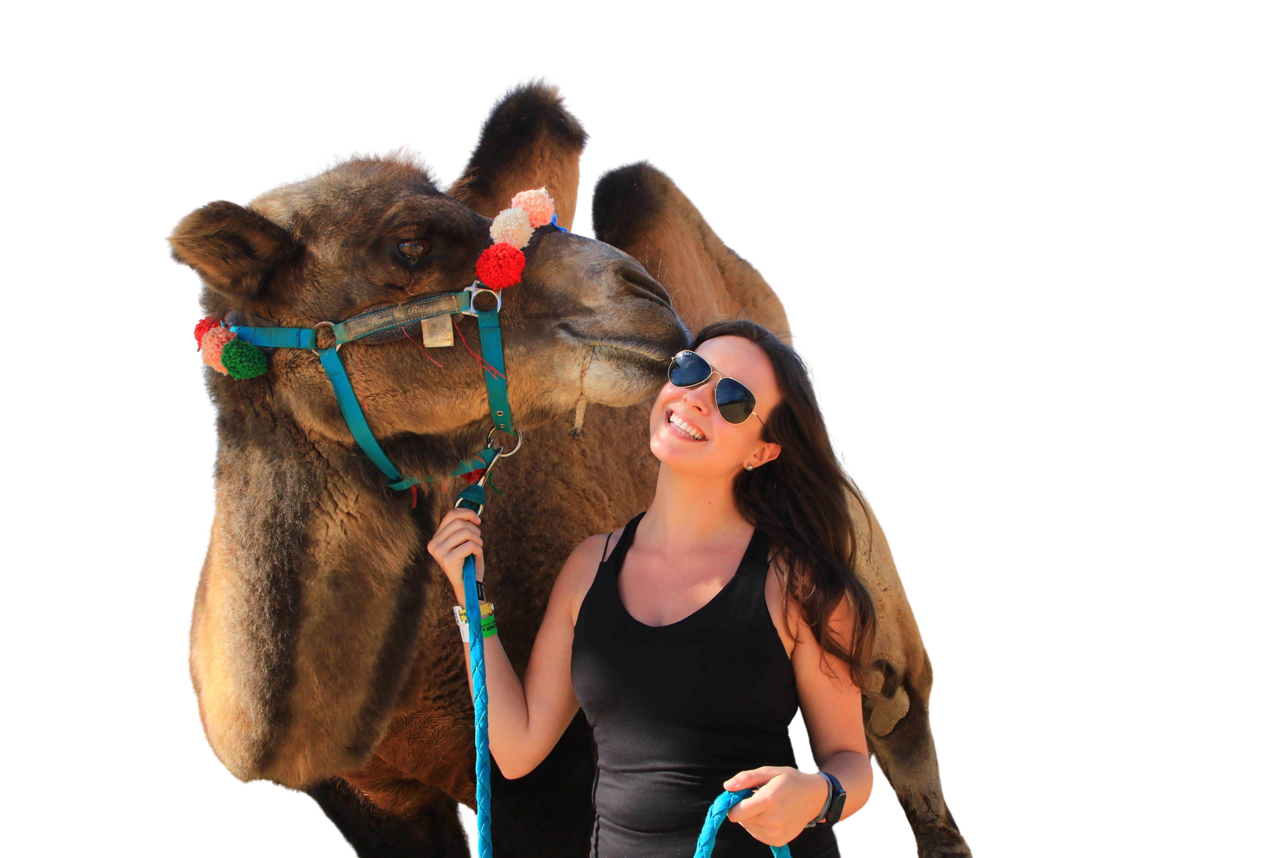 Woman in sunglasses holds the lead of a decorated camel