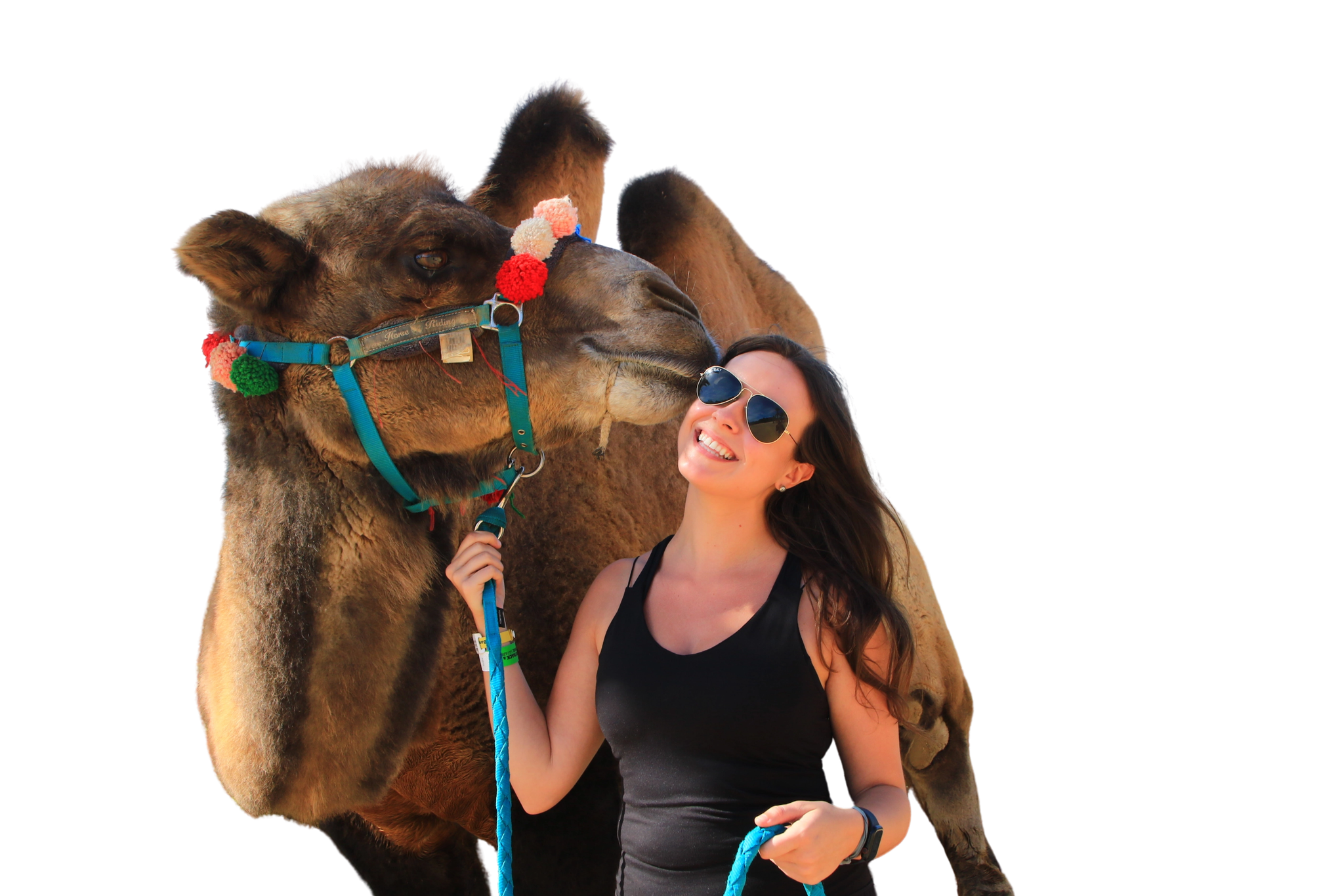 Woman in sunglasses holds the lead of a decorated camel