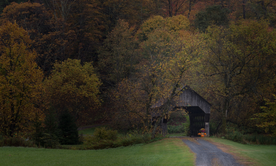 Covered wooden bridge along a road through an autumn forest