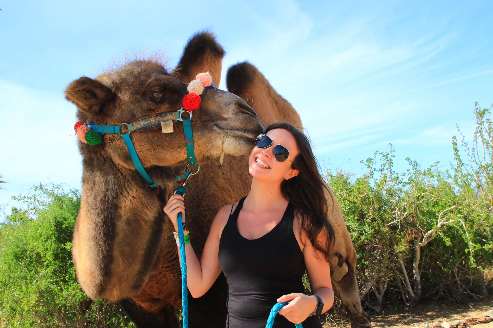 Smiling woman in sunglasses posing beside a camel wearing a decorated halter