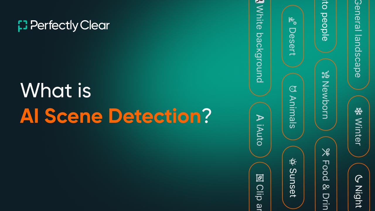 "What is AI Scene Detection?" title card with scene labels like Desert, Newborn and Sunset