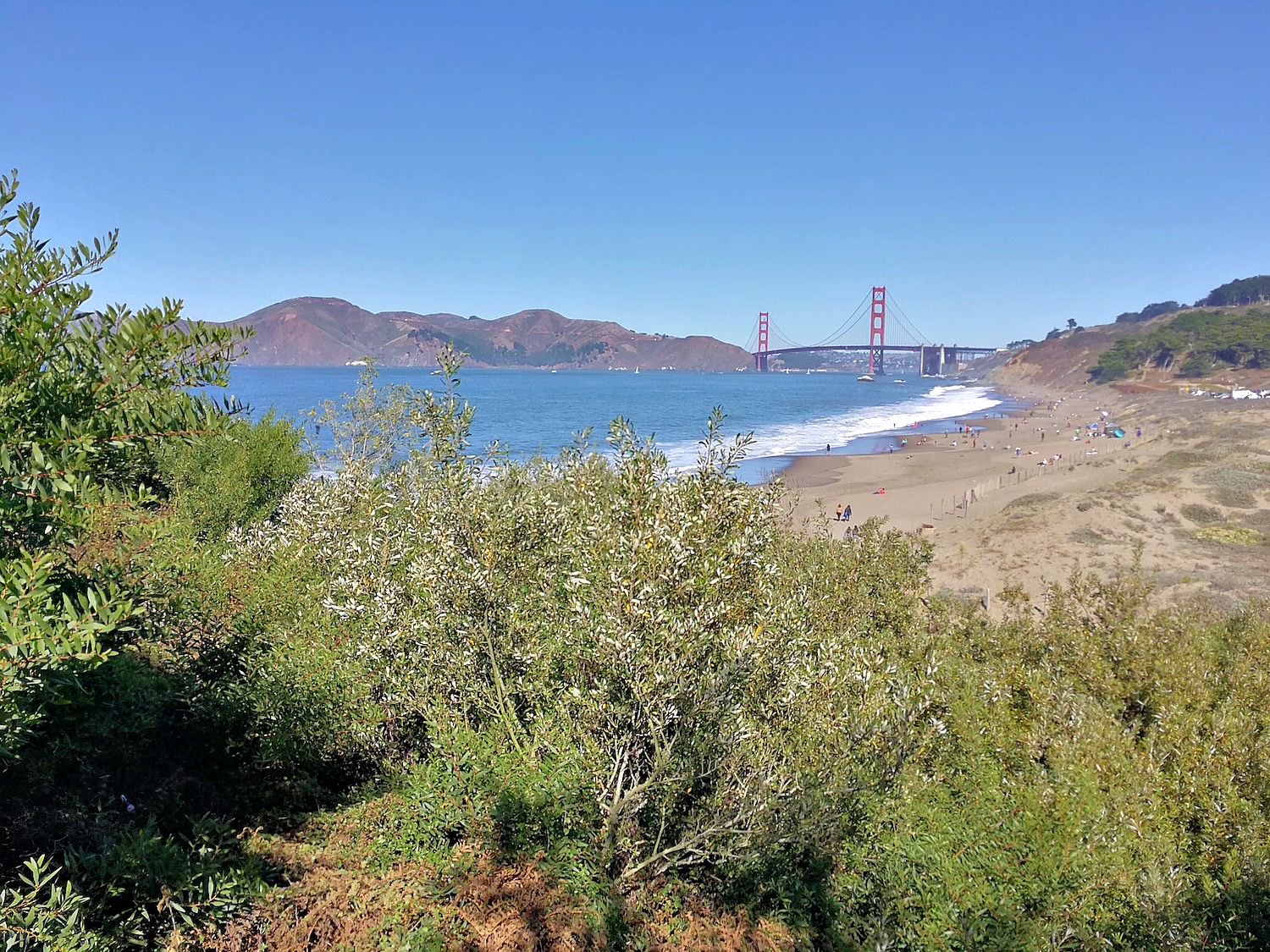 Beach and coastal scrub with the Golden Gate Bridge in the distance