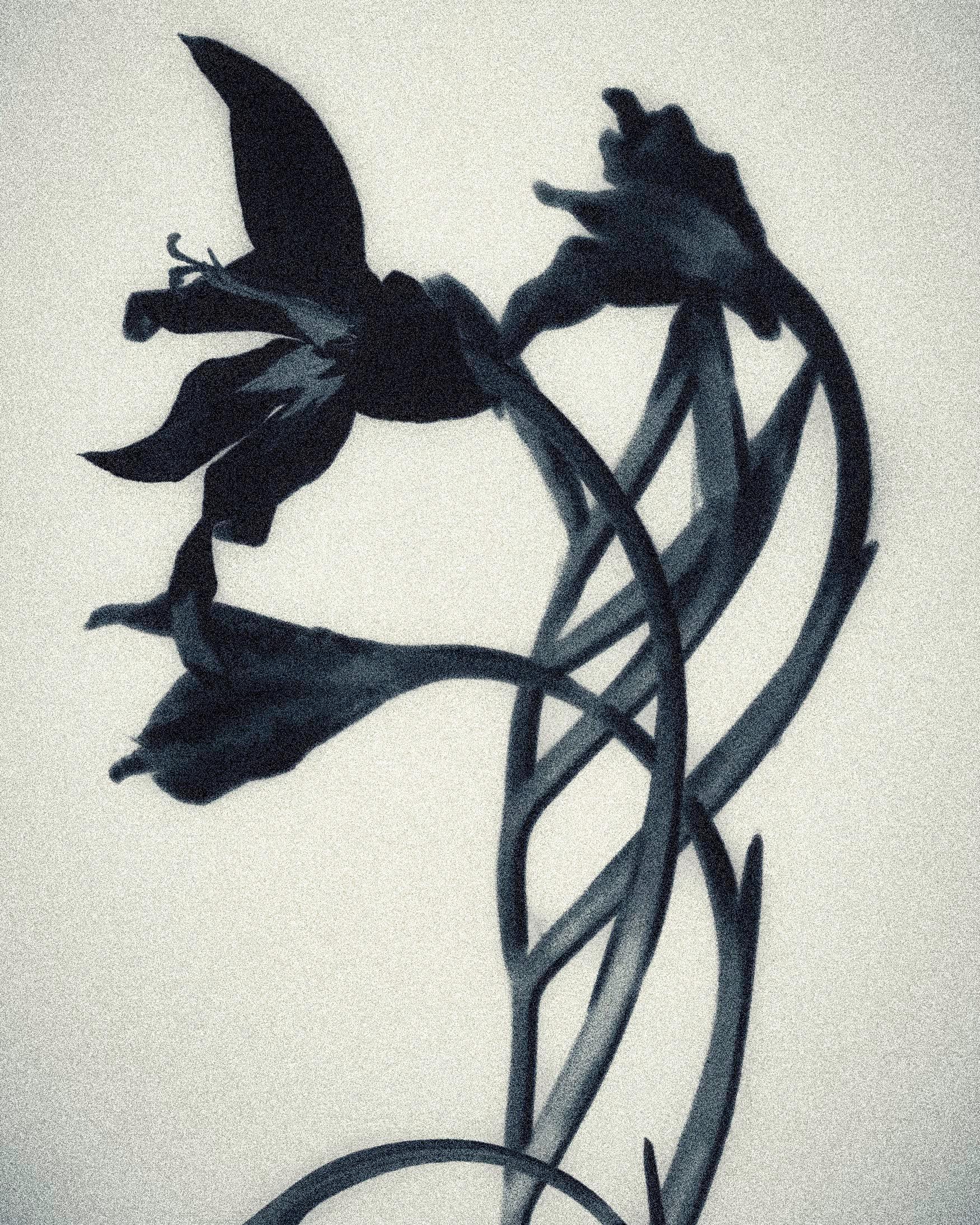 Gestation, photographie 4
