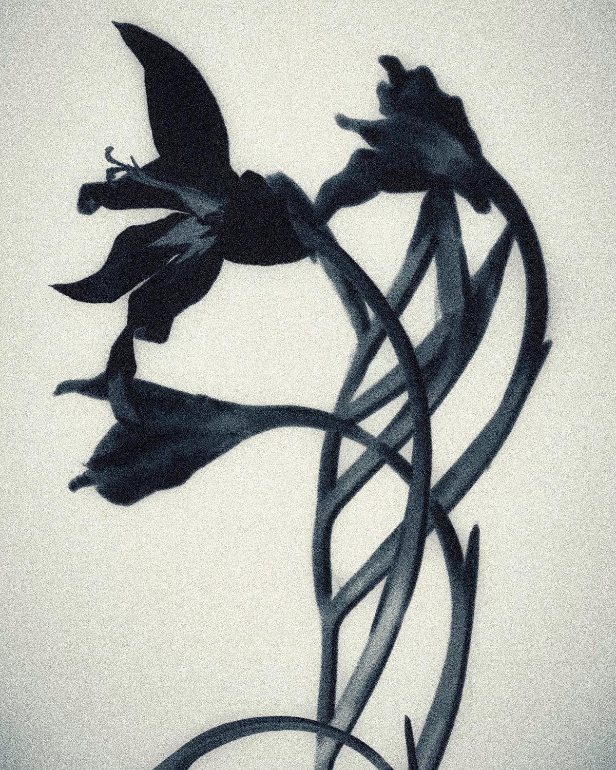 Gestation, photographie 4