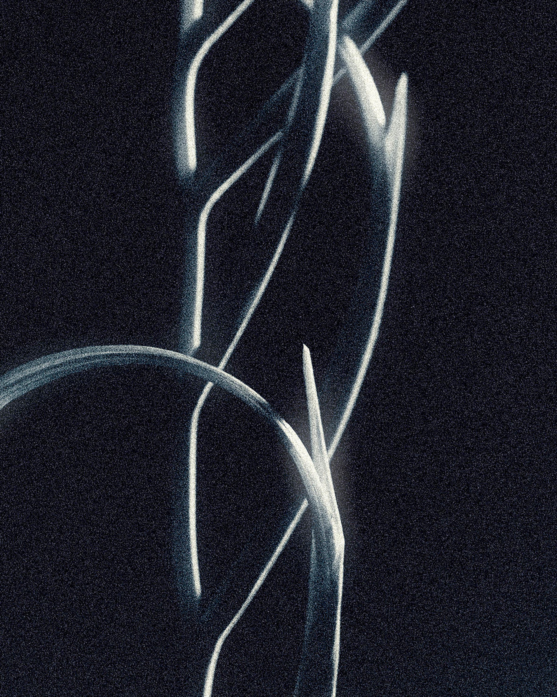 Gestation, photographie 3