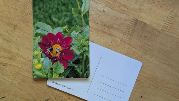 Flowers #11