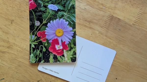 Flowers #7