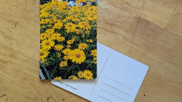 Flowers #8
