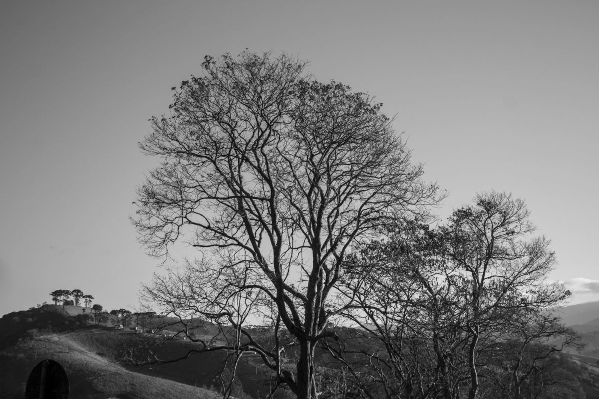 SANTO ANTÔNIO DO PINHAL — foto 13