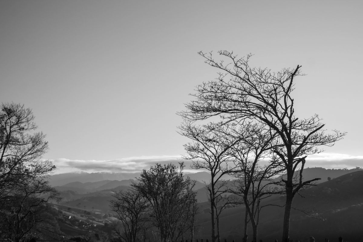 SANTO ANTÔNIO DO PINHAL — foto 12