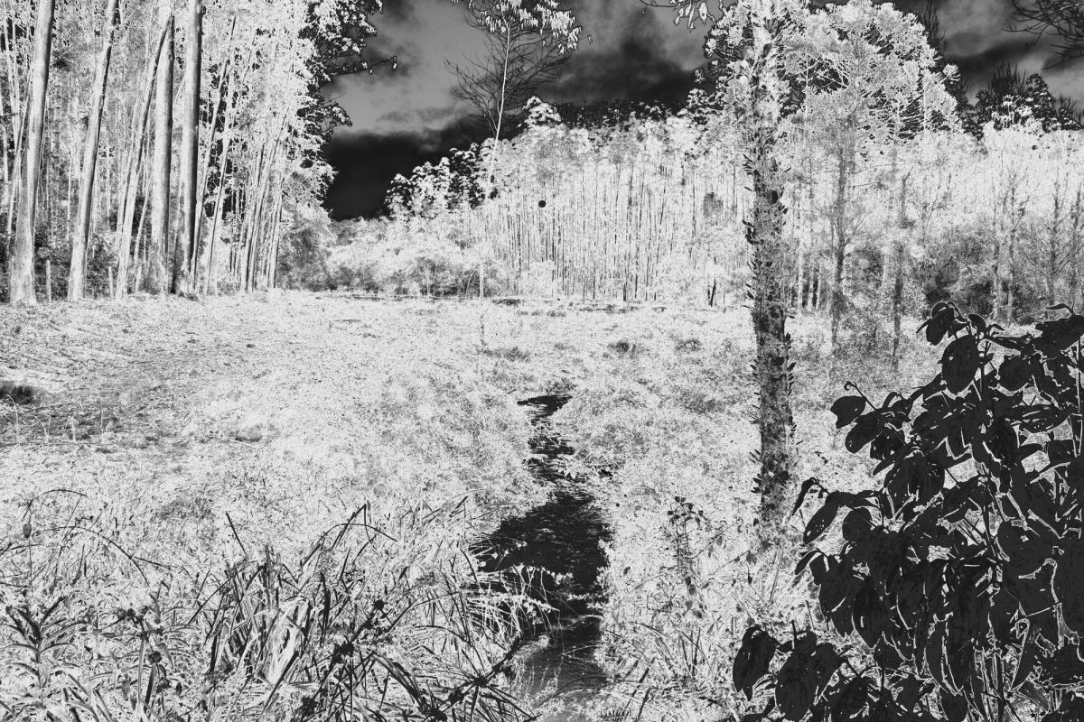 SANTO ANTÔNIO DO PINHAL — foto 2