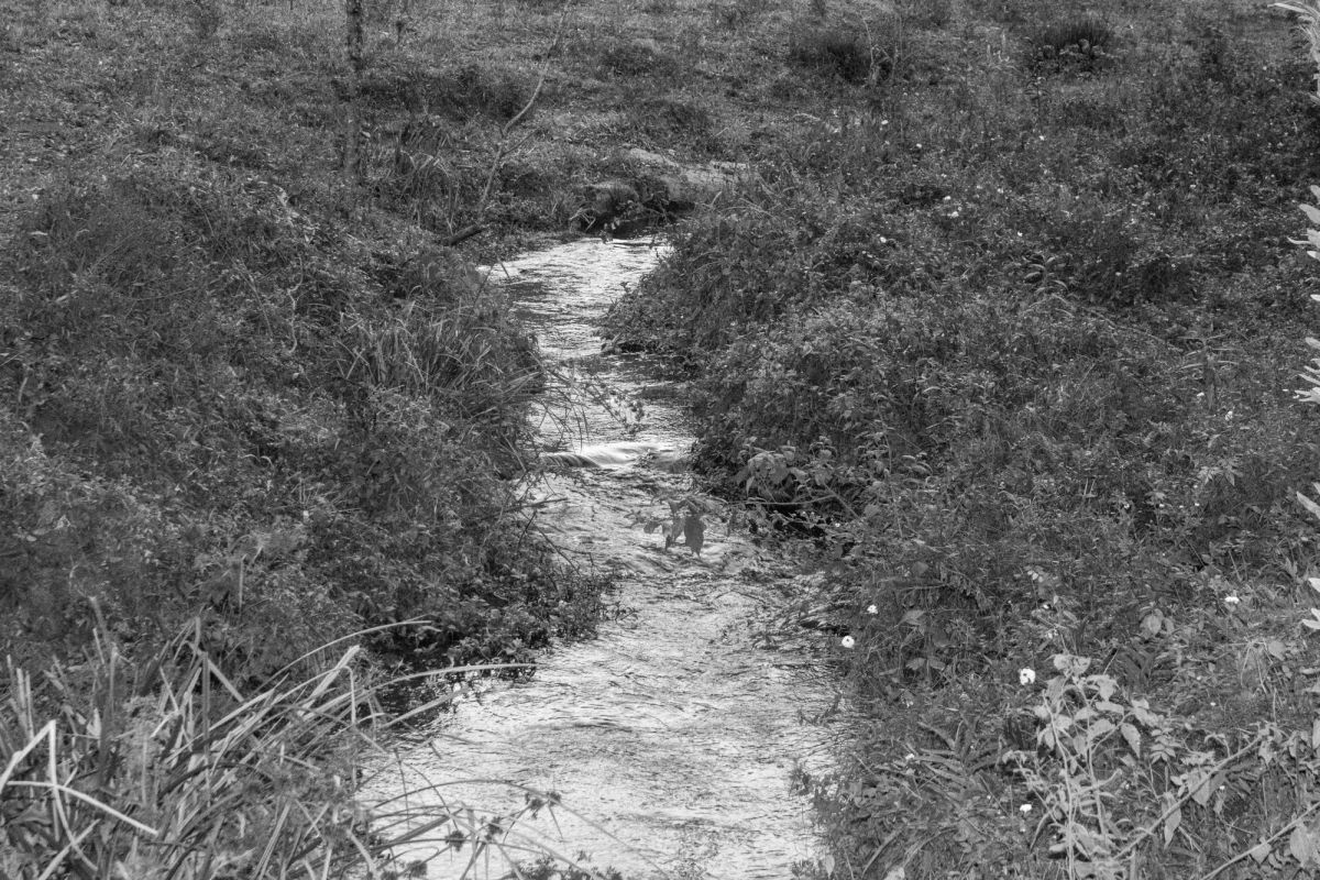 SANTO ANTÔNIO DO PINHAL — foto 3
