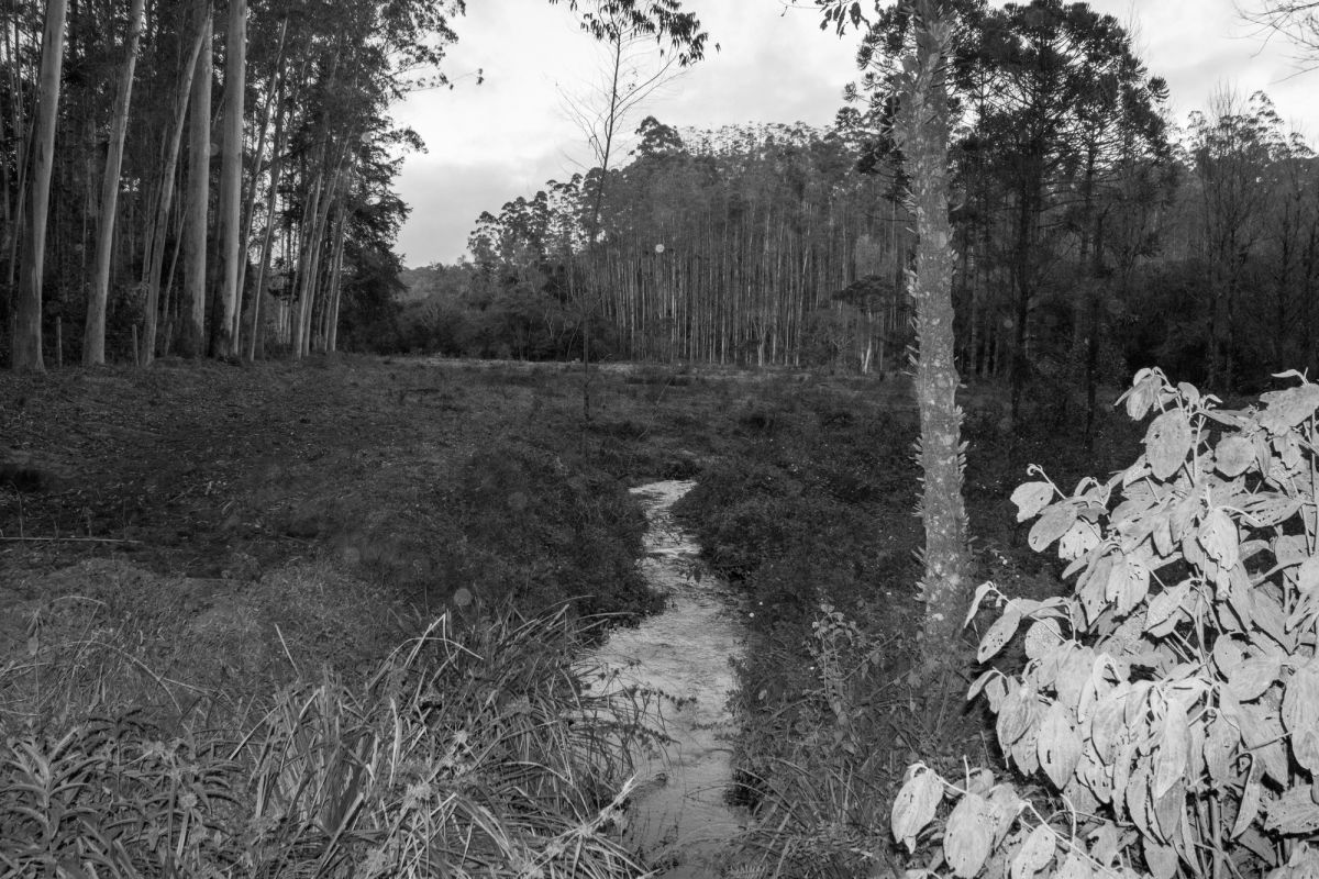 SANTO ANTÔNIO DO PINHAL — foto 1