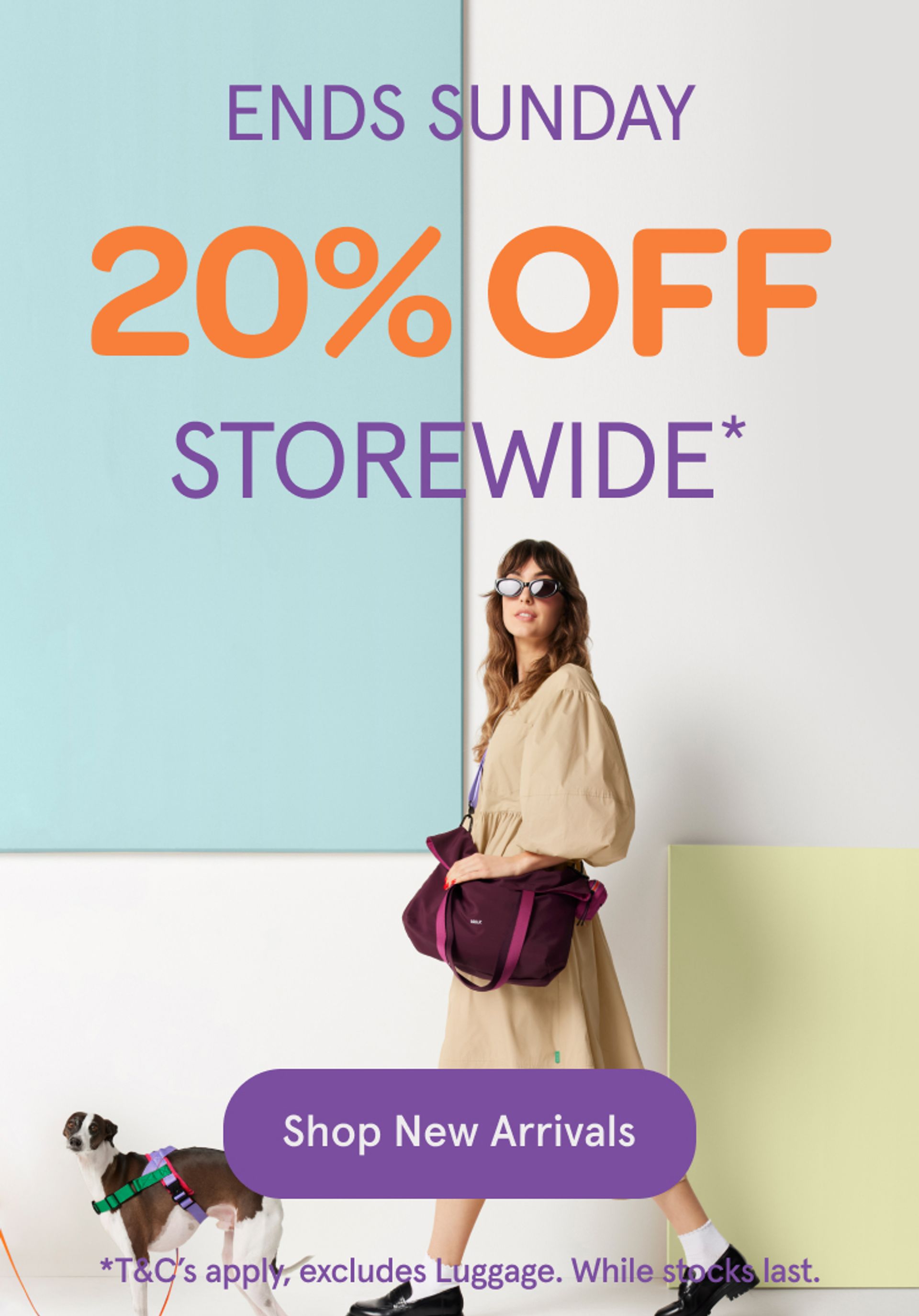 20% Off storewide