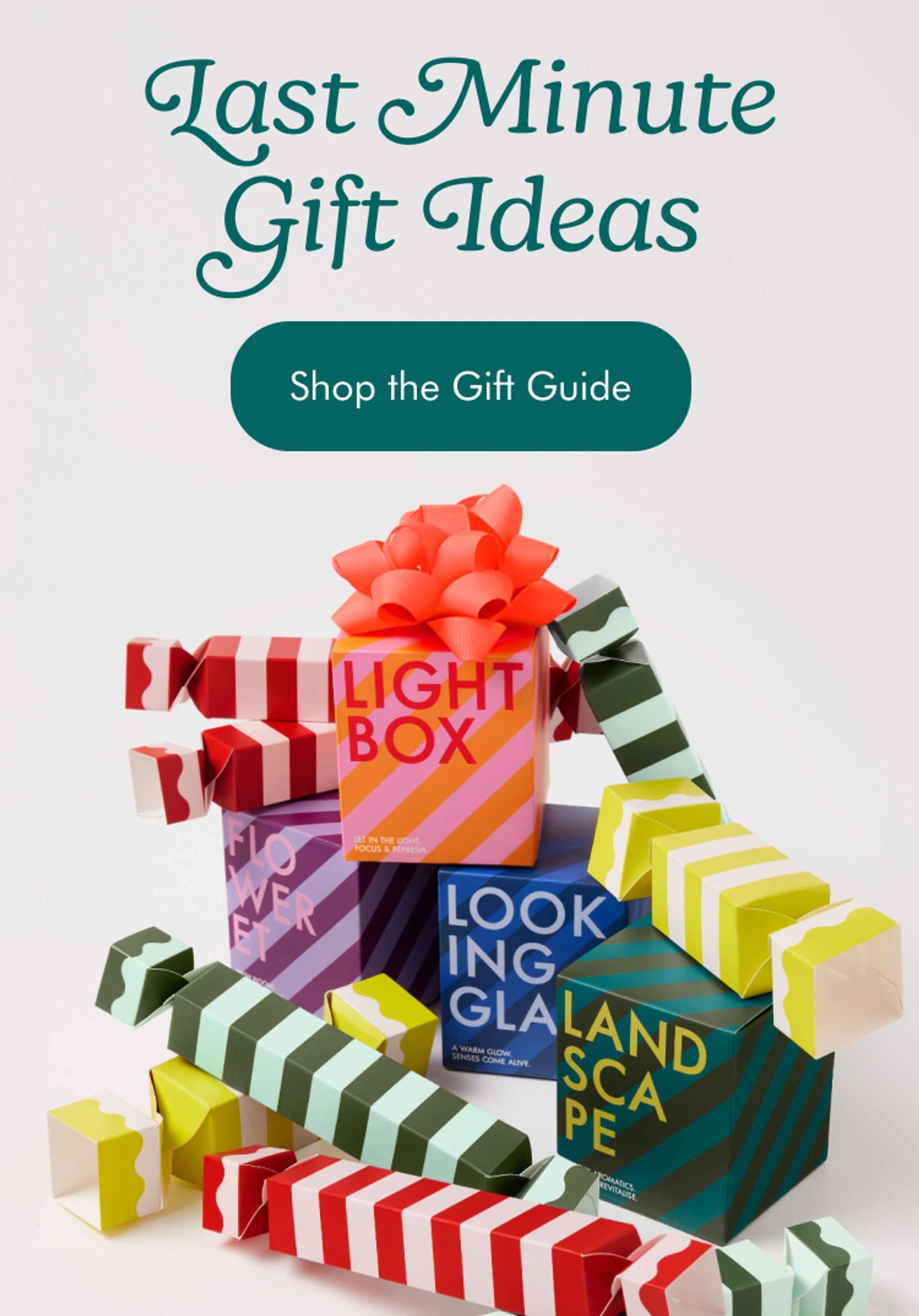 Shop Christmas Gift Guide