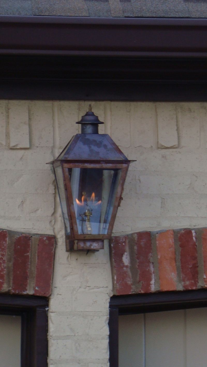 St. James Magnolia Gas Wall Mount Lifestyle 87