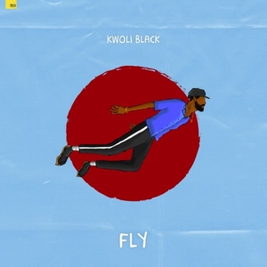 Fly (single)