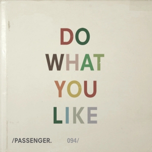 Do What You Like (Radio Edit) (single)