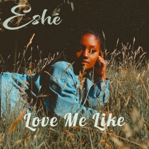 Love Me Like (single)