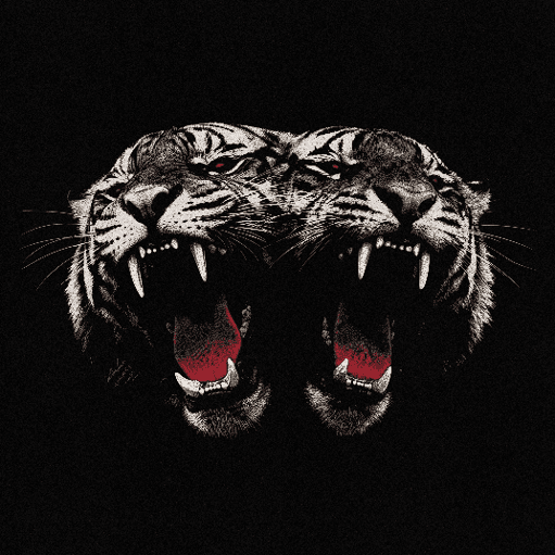 Dead Company (album)