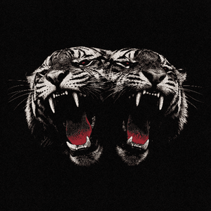 Dead Company (album)