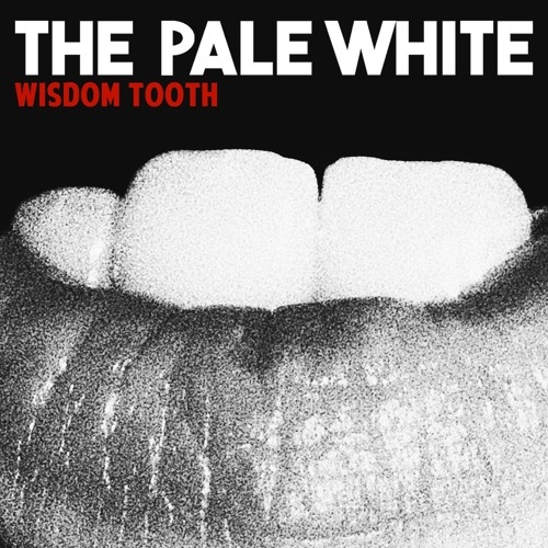 Wisdom Tooth (single)