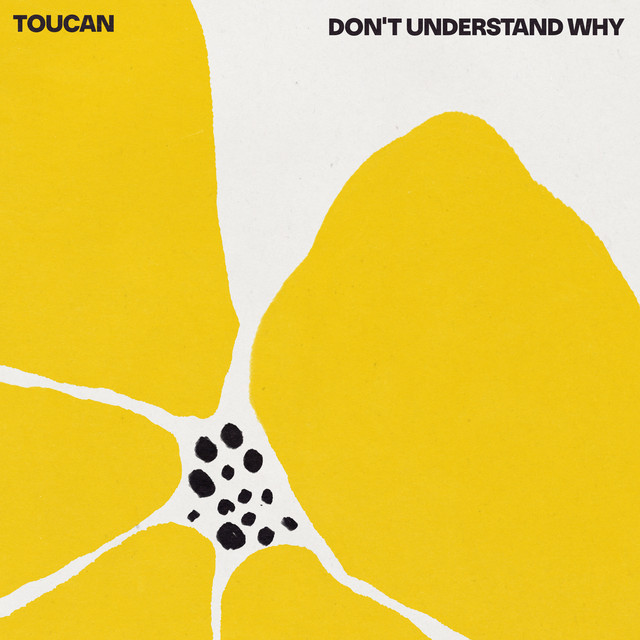 Don't Understand Why (single)