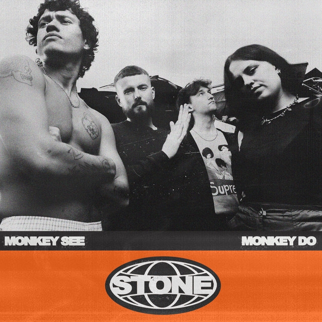Monkey See Monkey Do (single)