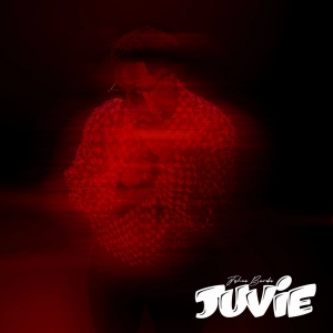 Juvie (album)