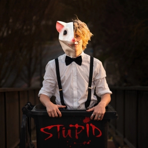 Stupid (single)