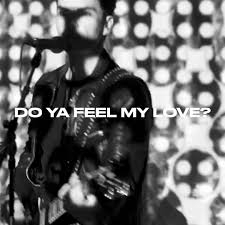 Do Ya Feel My Love? (single)