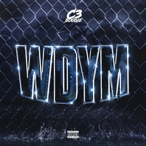 WDYM (featuring Krashh) (single)