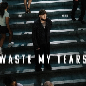 Waste My Tears (single)