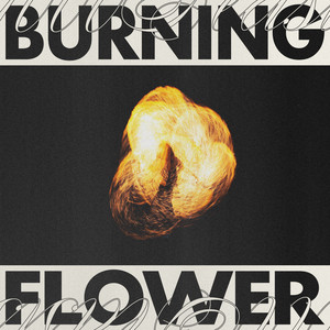 Baiser (with Joe Fellaga & TOUCAN) (single) 