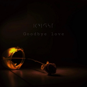 Goodbye Love (single)