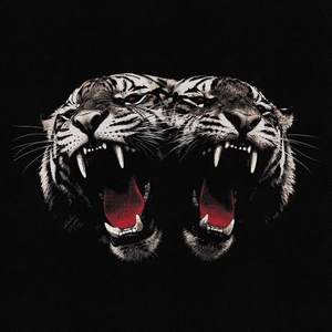 Dead Company (single)