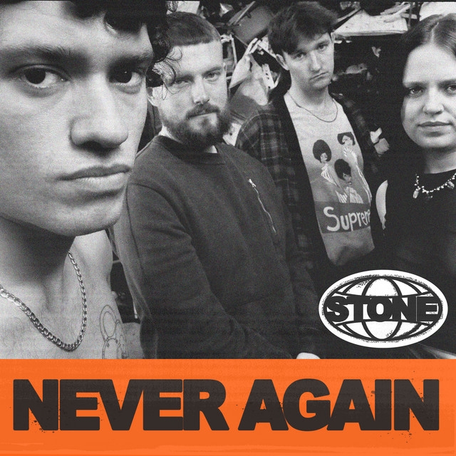 Never Again (single)
